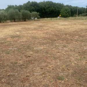 GRAĐEVINSKO ZEMLJIŠTE BLIZU BRTONIGLE – 2.470 m²