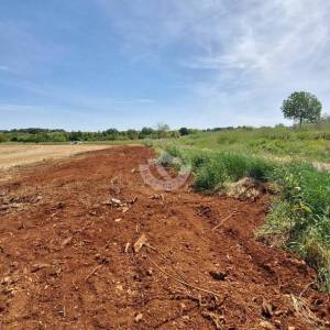 Hrvatska, Istra, Brtonigla Fernetići  - poljoprivredno zemljište 881 m²