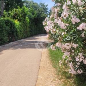 Hrvatska, Istra, Poreč, Valentići – Luksuzna Vila s bazenom, saunom i pogledom na more – 1.026 m² zemljišta