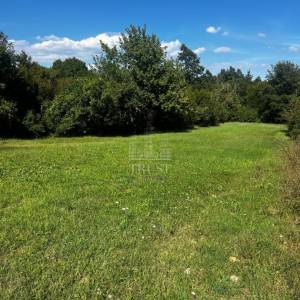 ISTRA, BARBAN - Građevinsko zemljište