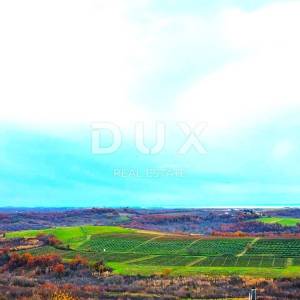 Istra, Buje, Starija kamena kuća, jedinstvena lokacija, panoramski pogled