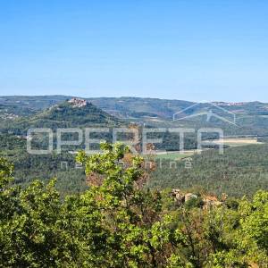 Istra, Buzet okolica - Maslinik s mobilnom kućicom i pogledom na jezero Butoniga