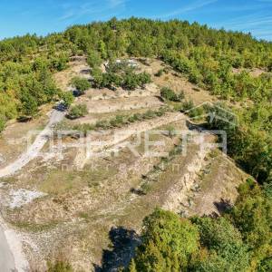 Istra, Buzet okolica - Maslinik s mobilnom kućicom i pogledom na jezero Butoniga