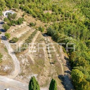 Istra, Buzet okolica - Maslinik s mobilnom kućicom i pogledom na jezero Butoniga