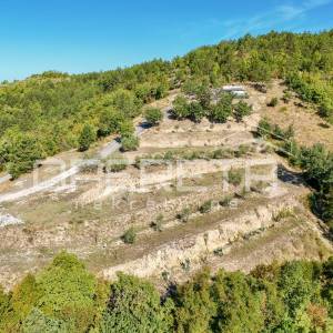 Istra, Buzet okolica - Maslinik s mobilnom kućicom i pogledom na jezero Butoniga