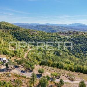 Istra, Buzet okolica - Maslinik s mobilnom kućicom i pogledom na jezero Butoniga