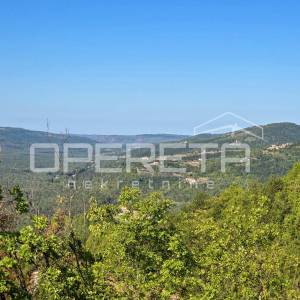 Istra, Buzet okolica - Maslinik s mobilnom kućicom i pogledom na jezero Butoniga