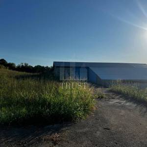 ISTRA, ČEPIĆ - Seosko imanje s gospodarskim objektima i velikim investicijskim potencijalom 