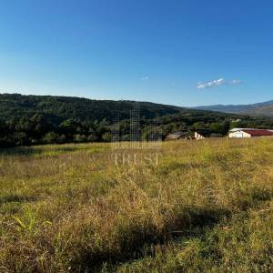ISTRA, ČEPIĆ - Seosko imanje s gospodarskim objektima i velikim investicijskim potencijalom 