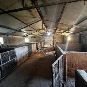 ISTRA, ČEPIĆ - Seosko imanje s gospodarskim objektima i velikim investicijskim potencijalom 