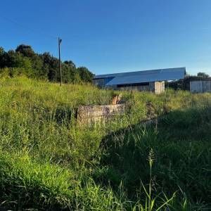 ISTRA, ČEPIĆ - Seosko imanje s gospodarskim objektima i velikim investicijskim potencijalom 