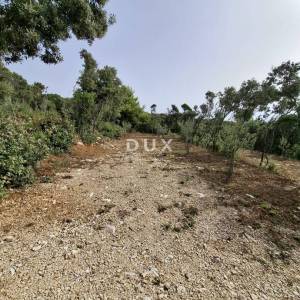 Istra, Kavran, zemljište, 1.000 m2, 30 m od mora