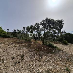 Istra, Kavran, zemljište, 1.000 m2, 30 m od mora