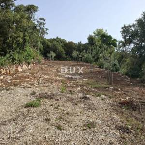 Istra, Kavran, zemljište, 1.000 m2, 30 m od mora