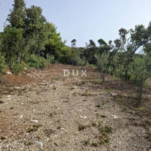 Istra, Kavran, zemljište, 330 m2, 30 m od mora