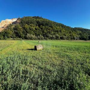 ISTRA, PIĆAN - Poljoprivredno obradivo zemljište