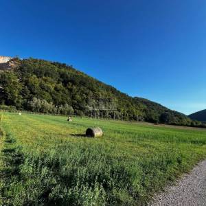 ISTRA, PIĆAN - Poljoprivredno obradivo zemljište