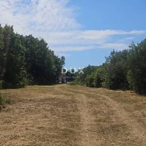 Istra, Rakalj, građevinsko zemljište, 3382, 1500m od mora