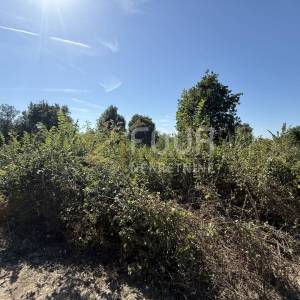Istra, Šišan, poljoprivredno zemljište, 500m2