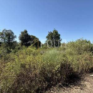 Istra, Šišan, poljoprivredno zemljište, 500m2