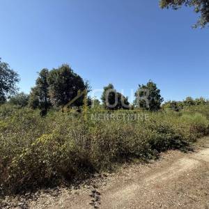 Istra, Šišan, poljoprivredno zemljište, 500m2