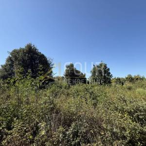 Istra, Šišan, poljoprivredno zemljište, 500m2