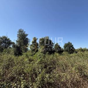 Istra, Šišan, poljoprivredno zemljište, 500m2