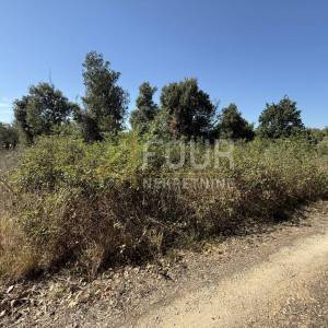 Istra, Šišan, poljoprivredno zemljište, 500m2