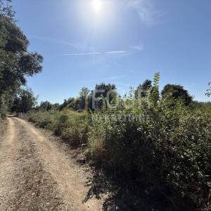 Istra, Šišan, poljoprivredno zemljište, 500m2