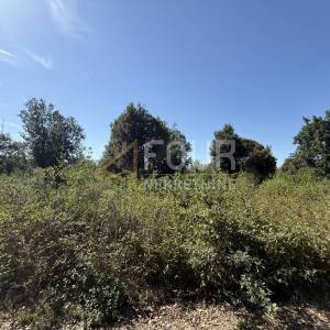 Istra, Šišan, poljoprivredno zemljište, 500m2
