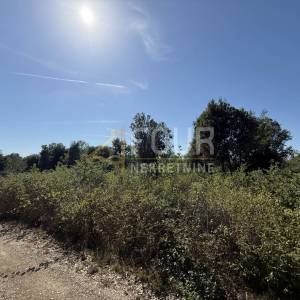 Istra, Šišan, poljoprivredno zemljište, 500m2