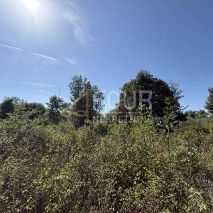 Istra, Šišan, poljoprivredno zemljište, 500m2