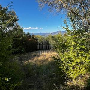 ISTRA, ŠUMBER - Maslinik, poljoprivredno zemljište
