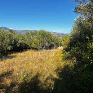 ISTRA, ŠUMBER - Maslinik, poljoprivredno zemljište