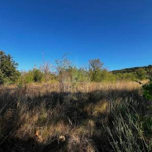 ISTRA, ŠUMBER - Poljoprivredno zemljište