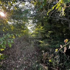 ISTRA, ŠUMBER - Poljoprivredno zemljište