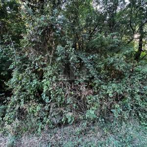 ISTRA, ŠUMBER - Poljoprivredno zemljište