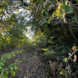ISTRA, ŠUMBER - Poljoprivredno zemljište