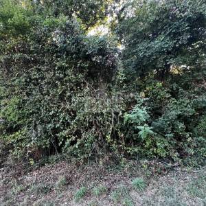 ISTRA, ŠUMBER - Poljoprivredno zemljište