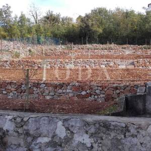 Kuća sa prostranom okućnicom 