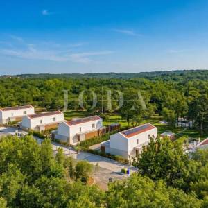 Labin, okolica, impozantna Villa s grijanim bazenom