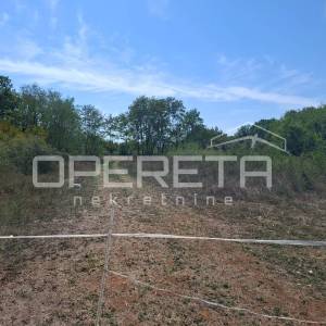 MANJADVORCI-RAKALJ-ISTRA