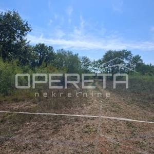 MANJADVORCI-RAKALJ-ISTRA