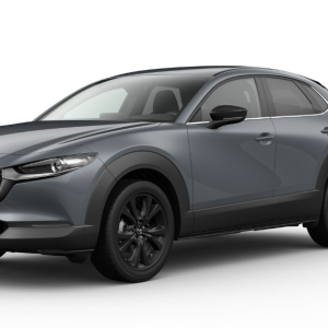 Mazda CX-30 5WGN 2.5L e-SKYACTIV G 140ps 6MT FWD Homura