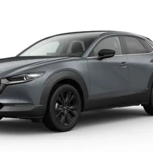 Mazda CX-30 5WGN 2.5L e-SKYACTIV G 140ps 6MT FWD Homura
