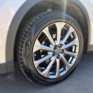 Mazda CX-60 3.3L SKYACTIV-D(254HP) AWD EXCLUSIVE LINE/DRI-P - 3 godine jamstva