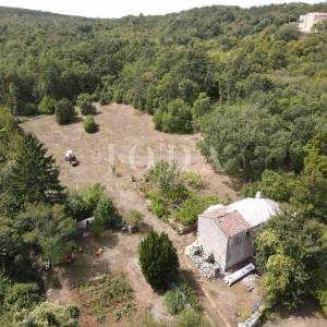 Poljoprivredno zemljište 27.800 m² sa starinom - Labin