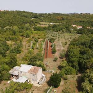 Poljoprivredno zemljište 27.800 m² sa starinom - Labin