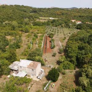 Poljoprivredno zemljište 27.800 m² sa starinom - Labin