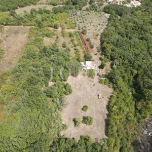 Poljoprivredno zemljište 27.800 m² sa starinom - Labin